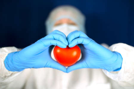 The heart is in the doctors hands. The concept of cardiology and healthcare.の写真素材