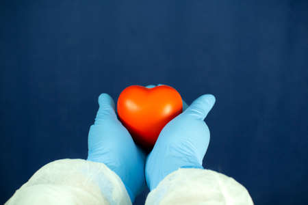 The heart is in the doctors hands. The concept of cardiology and healthcare.の写真素材