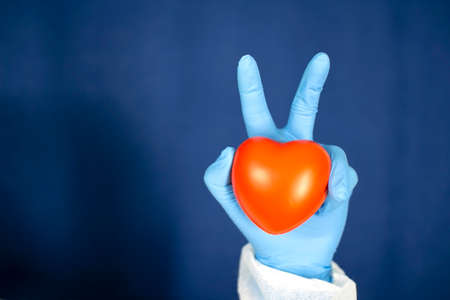 The heart is in the doctors hands. The concept of cardiology and healthcare.の写真素材