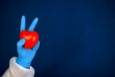 The heart is in the doctors hands. The concept of cardiology and healthcare.の写真素材