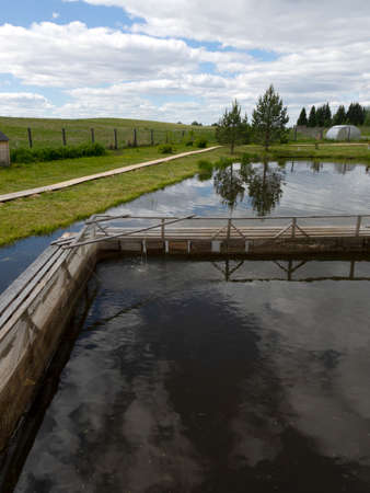 Fishing farm for carp breeding.の写真素材
