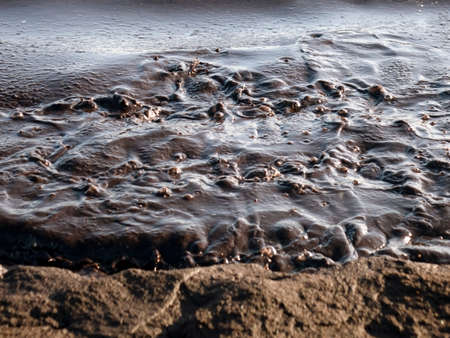 Oil pollution near the sea coast.Ecology. Environmental pollution.
