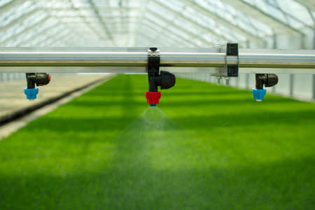 A greenhouse for growing plants and trees. Irrigation technology in the greenhouse.の写真素材