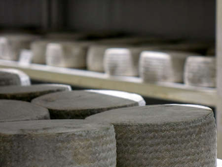 Shelves with aged cheeses. Cheese rowの写真素材
