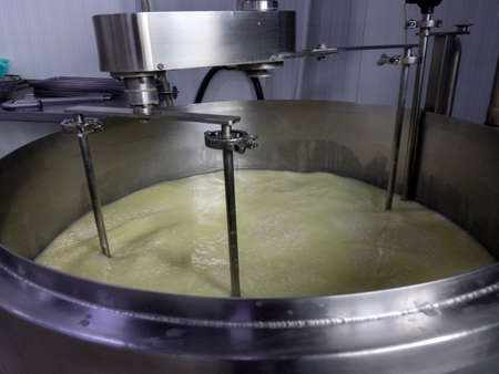 Mixing milk in a cheese factory in a large vat.