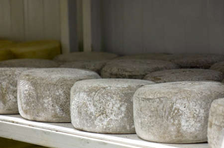 Shelves with aged cheeses. Cheese rowの写真素材