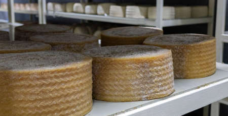 Shelves with aged cheeses. Cheese rowの写真素材