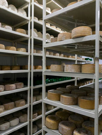 Shelves with aged cheeses. Cheese rowの写真素材