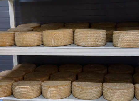 Shelves with aged cheeses. Cheese rowの写真素材