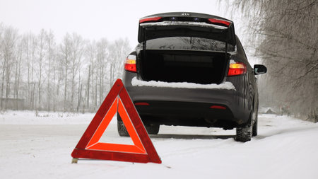 An emergency stop sign.Winter time.の写真素材