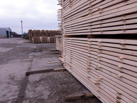 Lumber warehouse. Wooden boards in a stackの写真素材