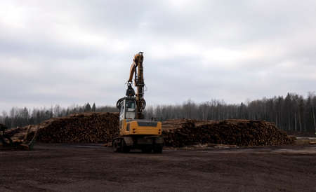 A large loader of logs at a sawmill of coniferous treesの写真素材