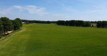 View of a green agricultural field. Beautiful summer landscape.の写真素材