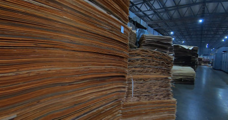 Sheets of plywood slabs are stacked in the warehouse of the woodworking plant