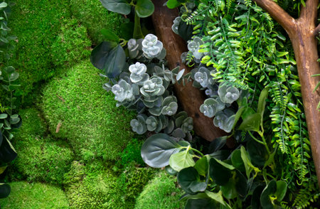 Decorative green moss and plants used as decoration of modern rooms, the texture of deer moss.の写真素材