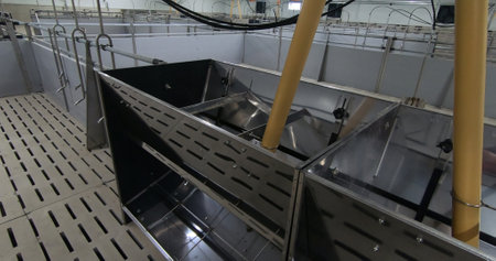Pens for breeding piglets on a pig farm. Pigsty, pig breeding.の写真素材