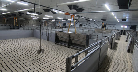 Pens for breeding piglets on a pig farm. Pigsty, pig breeding.の写真素材
