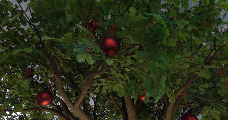 Red balls on a tree. The concept of a Christmas holiday.の写真素材