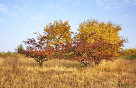 Komarom. Hungaryの写真素材