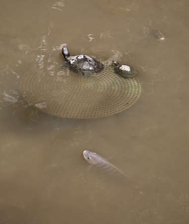 University Park in Hong Kong. Chinaの写真素材