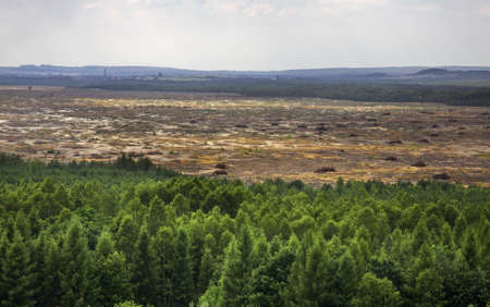 Bledow Desert. Polandの写真素材
