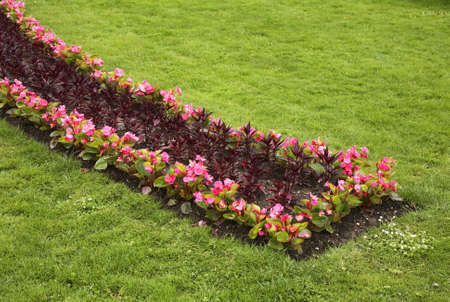 Volksgarten in Vienna. Austriaの写真素材