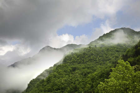 landscape near  Kobarid. Slovenia