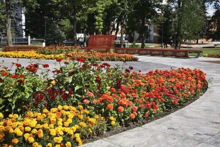 Main park in Marijampole. Lithuaniaの写真素材
