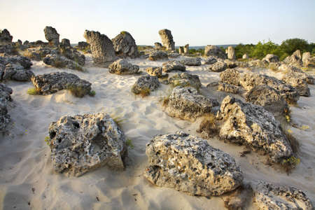 Pobiti Kamani Stone forest near Varna. Bulgaria