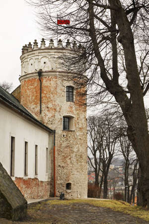 Royal Casimir castle in Przemysl. Polandのeditorial素材