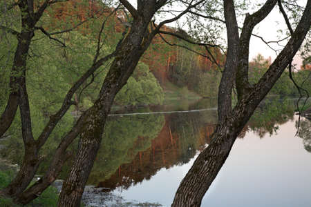 Pakhra riverbank in Dubrovitsy. Russiaの写真素材