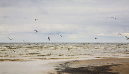 Gulf of Riga in Jurmala. Latviaの写真素材