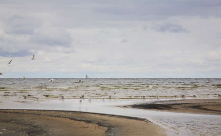 Gulf of Riga in Jurmala. Latviaの写真素材