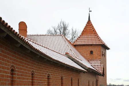 Island Castle in Trakai. Lithuaniaのeditorial素材