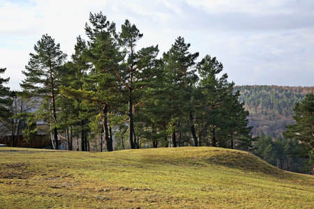 Landscape in Arlamow. Polandの写真素材
