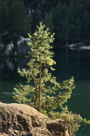 Adrspach-Teplice Rocks. Czech Republicの写真素材