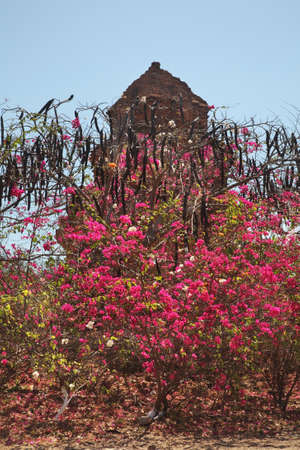 Poshanu Cham Tower in Phan Thiet. Vietnamの写真素材