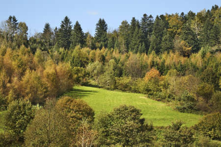 Landscape near Hoszow. Podkarpackie Voivodeship. Polandの写真素材