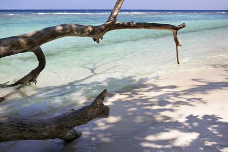 Villingili island. Republic of the Maldivesの写真素材