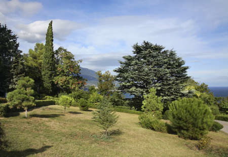 Park in Livadia. Crimea. Ukraineのeditorial素材