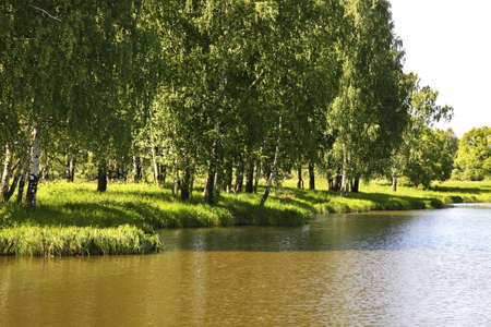 Gzhat River near Gagarin. Smolensk Oblast. Russiaの写真素材