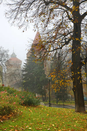 Basztowa street in Krakow. Polandの写真素材