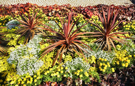 Flowerbed in park. Kudowa-Zdroj. Polandの写真素材