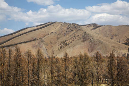 Gorkhi-Terelj National Park. Mongoliaの写真素材