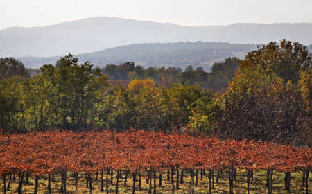 Mountains near Gevgelija. Macedoniaの写真素材