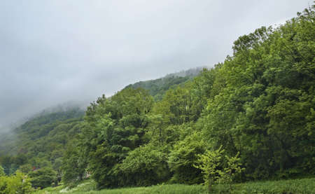 landscape near Most na Soci. Slovenia