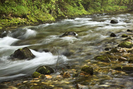 Vintgar gorge near Bled. Slovenia