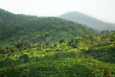 Landscape near Karon. Phuket province. Thailandの写真素材