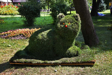 Park in Kiev. Ukraineの写真素材