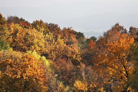 Landscape near Bojnice. Slovakia